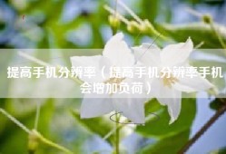 提高手机分辨率（提高手机分辨率手机会增加负荷）