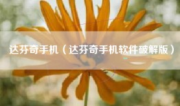 达芬奇手机（达芬奇手机软件破解版）