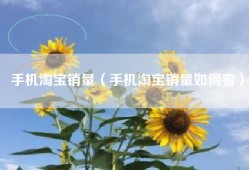 手机淘宝销量（手机淘宝销量如何看）