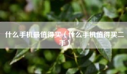 什么手机最值得买（什么手机值得买二手）