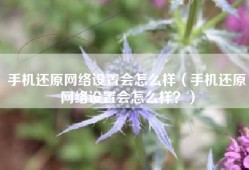 手机还原网络设置会怎么样（手机还原网络设置会怎么样？）