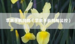 苹果手机同屏（苹果手机同屏监控）