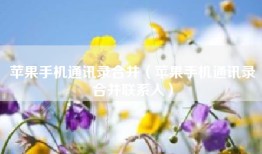 苹果手机通讯录合并（苹果手机通讯录合并联系人）