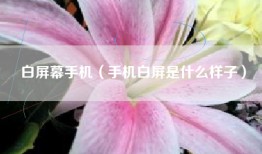 白屏幕手机（手机白屏是什么样子）