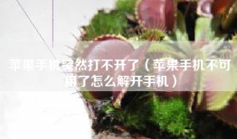 苹果手机突然打不开了（苹果手机不可用了怎么解开手机）