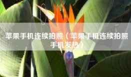 苹果手机连续拍照（苹果手机连续拍照手机发热）