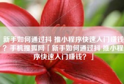 新手如何通过抖 推小程序快速入门赚钱？手机搜狐网「新手如何通过抖 推小程序快速入门赚钱？」