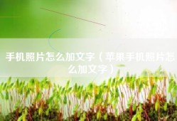 手机照片怎么加文字（苹果手机照片怎么加文字）