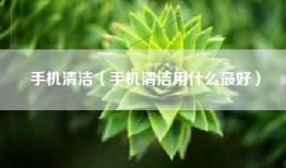 手机清洁（手机清洁用什么最好）