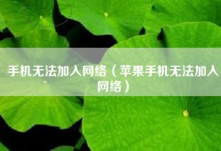 手机无法加入网络（苹果手机无法加入网络）