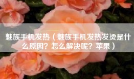 魅族手机发热（魅族手机发热发烫是什么原因？怎么解决呢？苹果）