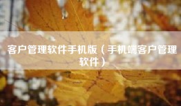 客户管理软件手机版（手机端客户管理软件）