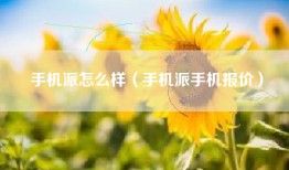 手机派怎么样（手机派手机报价）