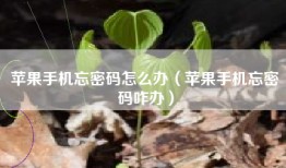 苹果手机忘密码怎么办（苹果手机忘密码咋办）