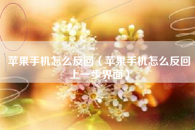 苹果手机怎么反回（苹果手机怎么反回上一步界面）