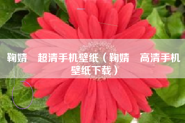 鞠婧祎超清手机壁纸（鞠婧祎高清手机壁纸下载）