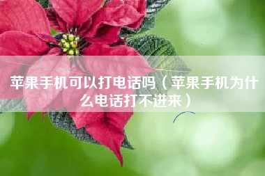 苹果手机可以打电话吗（苹果手机为什么电话打不进来）