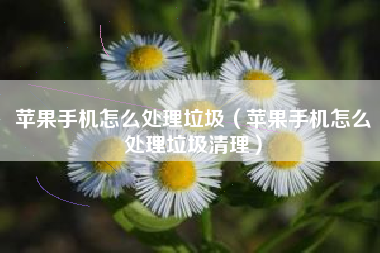 苹果手机怎么处理垃圾（苹果手机怎么处理垃圾清理）