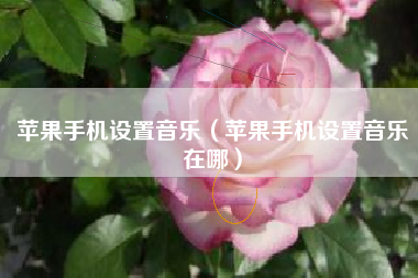 苹果手机设置音乐（苹果手机设置音乐在哪）